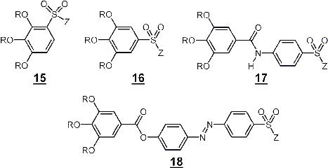 Scheme 3.1: Structure formula of self-organising sulfonate building blocks for the generation of sulfonate - supramolecular functionalised transport channels (R = H-X-, CH2=CH-X-, CH2=CH-COO-X-, X = -(CH2)n-), Z = -NH2, Alkali metal)