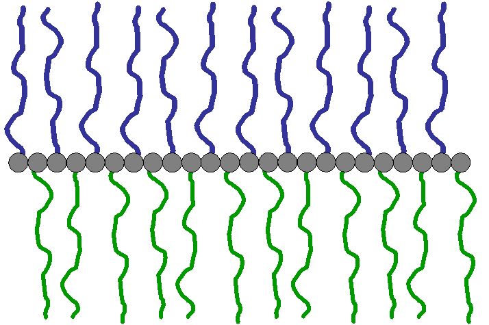 Scheme 2.1: Schematic depiction of a “Double Comb” polymer architecture and a possible arrangement of a Double Comb Polymer at a liquid interface
