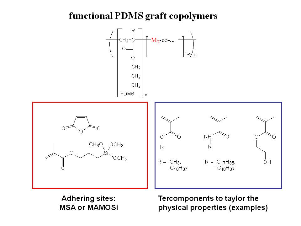 Scheme 6.2: Prepared PDMS-Graft-Copolymers by copolymerization of PDMS-MA macromonomers