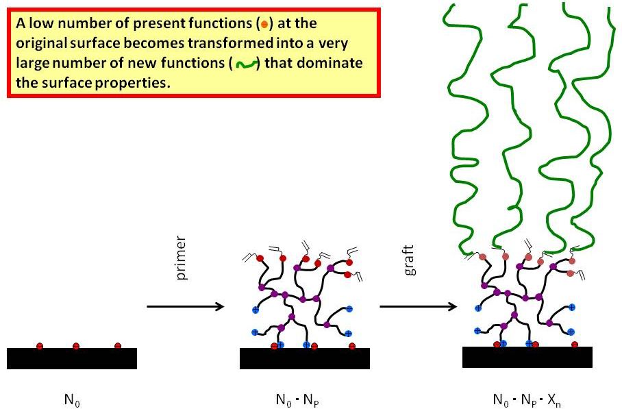 Figure 3.1:  Functional group multiplication by Quat-Primer adsorption / polymerization