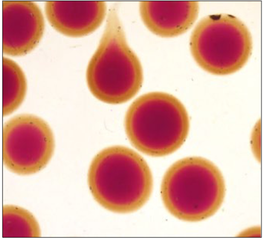 Bubble Tea – Reaktionen in Alginatbällchen